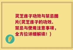 灵芝连子功效与禁忌图片(灵芝连子的功效、禁忌与使用注意事项，全方位详细解读！)
