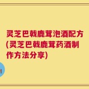 灵芝巴戟鹿茸泡酒配方(灵芝巴戟鹿茸药酒制作方法分享)
