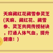 天麻藏红花藏雪参灵芝(天麻、藏红花、藏雪参、灵芝共同传授秘诀，打通人体气血，提升健康！)