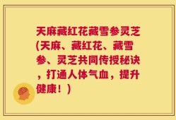 天麻藏红花藏雪参灵芝(天麻、藏红花、藏雪参、灵芝共同传授秘诀，打通人体气血，提升健康！)