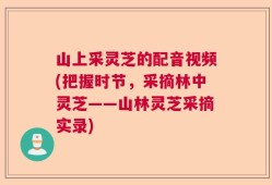 山上采灵芝的配音视频(把握时节，采摘林中灵芝——山林灵芝采摘实录)