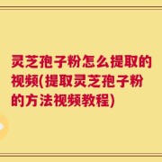 灵芝孢子粉怎么提取的视频(提取灵芝孢子粉的方法视频教程)