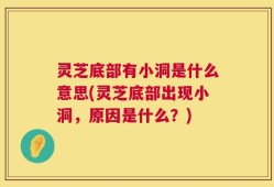 灵芝底部有小洞是什么意思(灵芝底部出现小洞，原因是什么？)