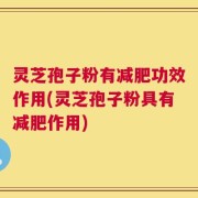 灵芝孢子粉有减肥功效作用(灵芝孢子粉具有减肥作用)