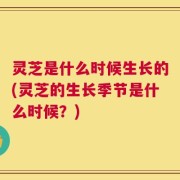灵芝是什么时候生长的(灵芝的生长季节是什么时候？)