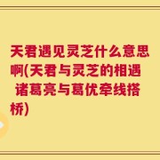 天君遇见灵芝什么意思啊(天君与灵芝的相遇 诸葛亮与葛优牵线搭桥)