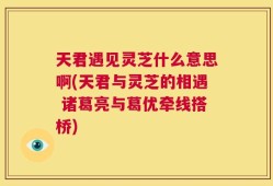天君遇见灵芝什么意思啊(天君与灵芝的相遇 诸葛亮与葛优牵线搭桥)