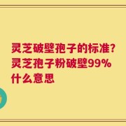 灵芝破壁孢子的标准？灵芝孢子粉破壁99%什么意思