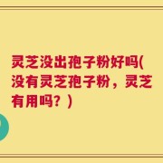 灵芝没出孢子粉好吗(没有灵芝孢子粉，灵芝有用吗？)