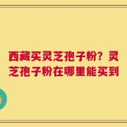 西藏买灵芝孢子粉？灵芝孢子粉在哪里能买到