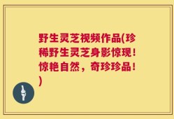 野生灵芝视频作品(珍稀野生灵芝身影惊现！惊艳自然，奇珍珍品！)