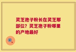 灵芝孢子粉长在灵芝那部位？灵芝孢子粉哪里的产地最好