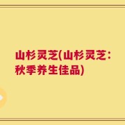 山杉灵芝(山杉灵芝：秋季养生佳品)