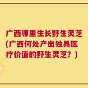 广西哪里生长野生灵芝(广西何处产出独具医疗价值的野生灵芝？)