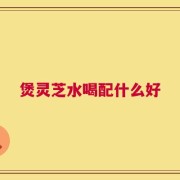 煲灵芝水喝配什么好