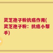 灵芝孢子粉抗癌作用(灵芝孢子粉：抗癌小帮手)