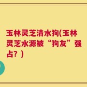 玉林灵芝清水狗(玉林灵芝水源被“狗友”强占？)