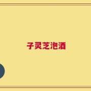 子灵芝泡酒