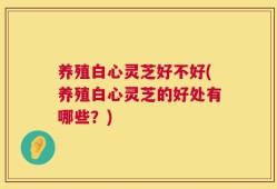 养殖白心灵芝好不好(养殖白心灵芝的好处有哪些？)