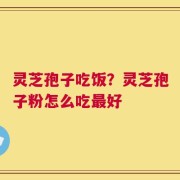 灵芝孢子吃饭？灵芝孢子粉怎么吃最好