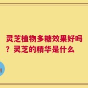 灵芝植物多糖效果好吗？灵芝的精华是什么