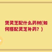 煲灵芝配什么药材(如何搭配灵芝补药？)
