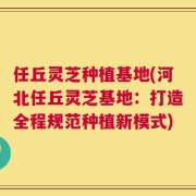 任丘灵芝种植基地(河北任丘灵芝基地：打造全程规范种植新模式)