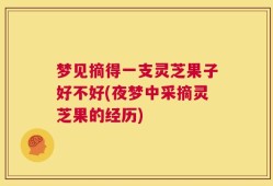 梦见摘得一支灵芝果子好不好(夜梦中采摘灵芝果的经历)