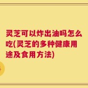 灵芝可以炸出油吗怎么吃(灵芝的多种健康用途及食用方法)