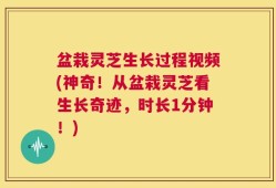 盆栽灵芝生长过程视频(神奇！从盆栽灵芝看生长奇迹，时长1分钟！)