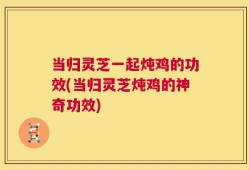 当归灵芝一起炖鸡的功效(当归灵芝炖鸡的神奇功效)