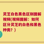 灵芝白色黑色区别图解视频(视频图解：如何区分灵芝的白色和黑色种类？)