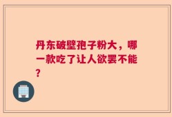 丹东破壁孢子粉大，哪一款吃了让人欲罢不能？