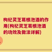 枸杞灵芝葛根泡酒的作用(枸杞灵芝葛根泡酒的功效及做法详解)