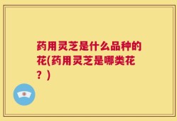 药用灵芝是什么品种的花(药用灵芝是哪类花？)