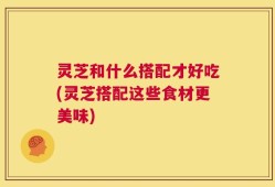 灵芝和什么搭配才好吃(灵芝搭配这些食材更美味)