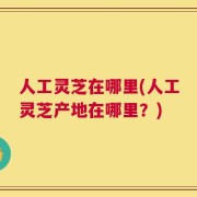 人工灵芝在哪里(人工灵芝产地在哪里？)