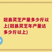 冠县灵芝产量多少斤以上(冠县灵芝年产量达多少斤以上)