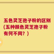 五色灵芝孢子粉的区别(五种颜色灵芝孢子粉有何不同？)