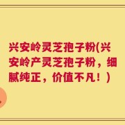 兴安岭灵芝孢子粉(兴安岭产灵芝孢子粉，细腻纯正，价值不凡！)