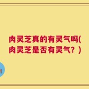 肉灵芝真的有灵气吗(肉灵芝是否有灵气？)