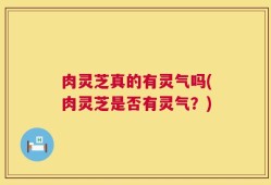 肉灵芝真的有灵气吗(肉灵芝是否有灵气？)