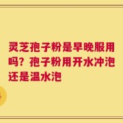 灵芝孢子粉是早晚服用吗？孢子粉用开水冲泡还是温水泡