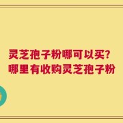 灵芝孢子粉哪可以买？哪里有收购灵芝孢子粉