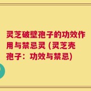 灵芝破壁孢子的功效作用与禁忌灵 (灵芝壳孢子：功效与禁忌)