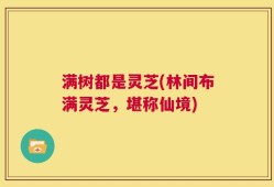 满树都是灵芝(林间布满灵芝，堪称仙境)