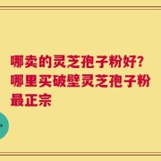 哪卖的灵芝孢子粉好？哪里买破壁灵芝孢子粉最正宗
