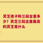 灵芝孢子粉三萜含量多少？灵芝三萜含量最高的灵芝是什么
