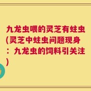 九龙虫喂的灵芝有蛀虫(灵芝中蛀虫问题现身：九龙虫的饲料引关注)