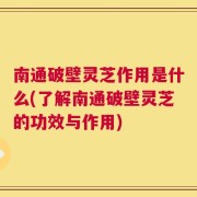 南通破壁灵芝作用是什么(了解南通破壁灵芝的功效与作用)